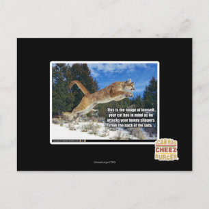 Carte Postale Image de chat