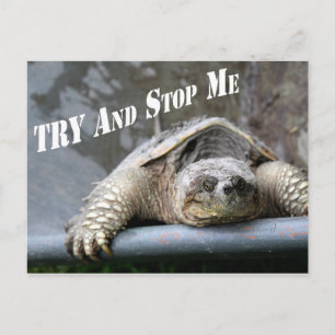 Carte Postale Image de tortue motivationnelle inspirante