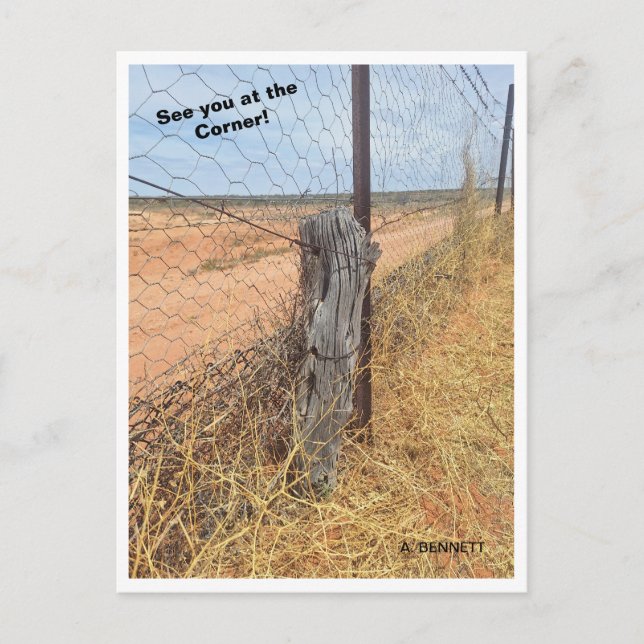 Carte Postale Image du coin ; où se rencontrent 3 états. (Devant)