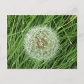 Carte postale - image nature