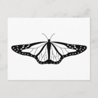 Image Papillon en noir et blanc