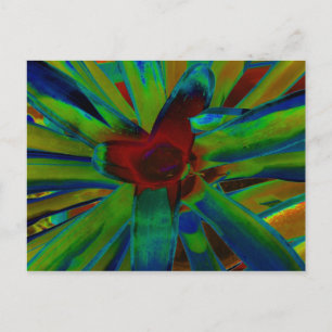 Carte Postale Image Plante bleu vert rouge broméliade