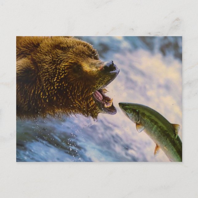 Carte Postale Image saumon de l'ours grizzli Extraordinaire (Devant)