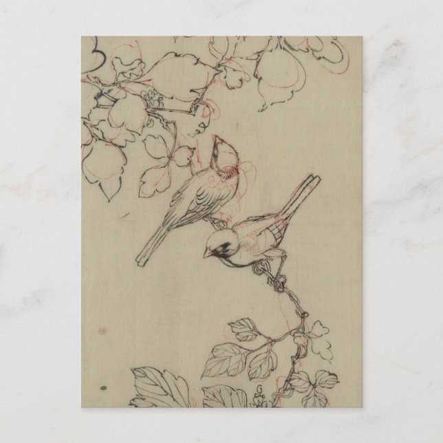 Carte Postale Image vintage d'oiseaux japonais (Devant)