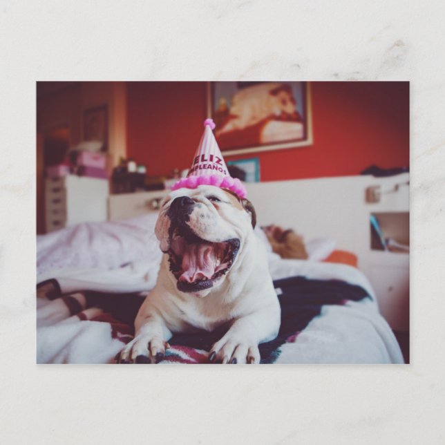 Carte Postale Images Getty | British Bulldog (Devant)