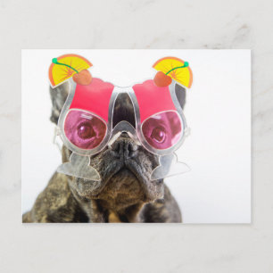 Carte Postale Images Getty   Chien Avec Lunettes De Cocktail