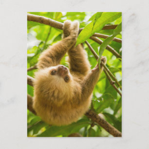 Carte Postale Images Getty Derrière