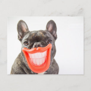 Carte Postale Images Getty   Un chien souriant