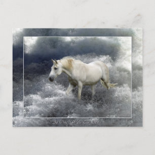 Carte Postale Imaginaire White Horse & Ocean Surf Cadeaux