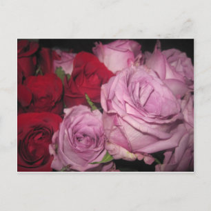 CARTE POSTALE IMG_0032.JPG