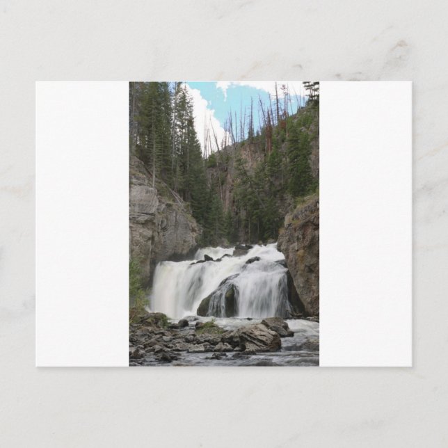 CARTE POSTALE IMG_0994_1 (Devant)