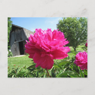 CARTE POSTALE IMG_1506