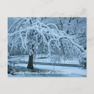 Carte Postale IMG_2425_2, Une chute de neige du dimanche matin à