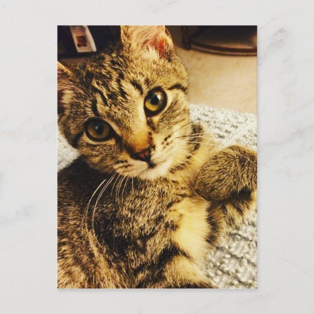 CARTE POSTALE IMG_3770.JPG (Devant)