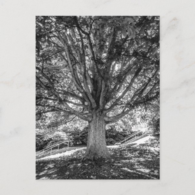 CARTE POSTALE IMG_5219.JPG (Devant)