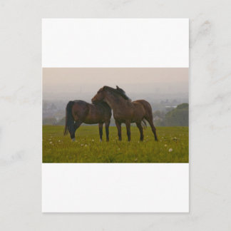 Carte Postale IMG_5764.jpg