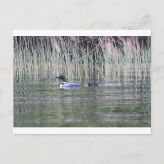 CARTE POSTALE IMG_8448_1