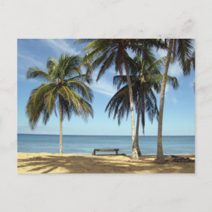 CARTE POSTALE IMGP2729