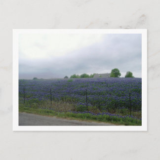 CARTE POSTALE IMGP4303