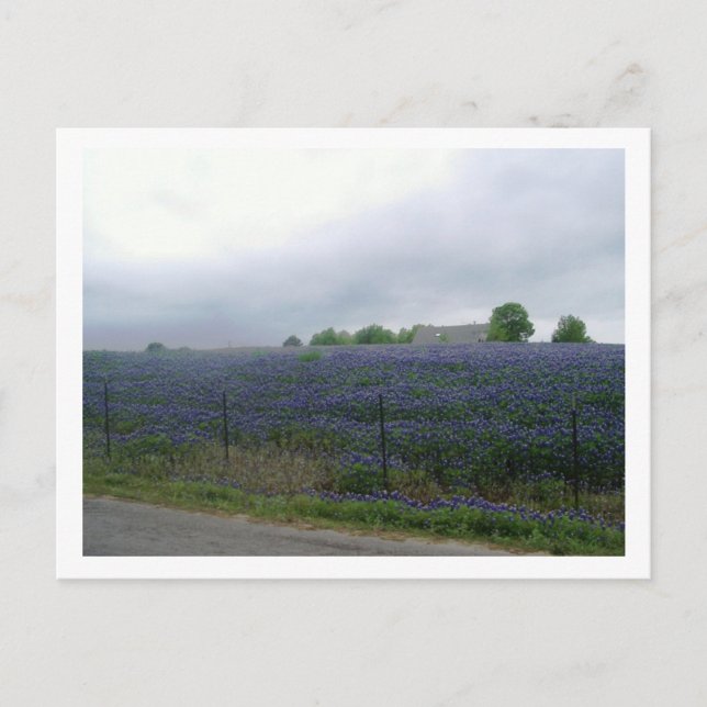 CARTE POSTALE IMGP4303 (Devant)