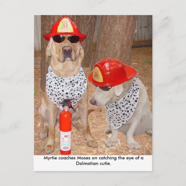 Carte Postale Imposter (Devant)