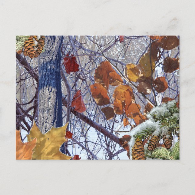 Carte Postale Impression Camion de la première forêt d'hiver de  (Devant)