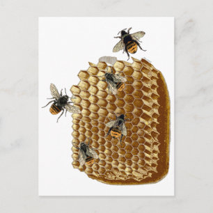 Carte Postale Impression d'abeilles, Illustration d'abeilles, Vi