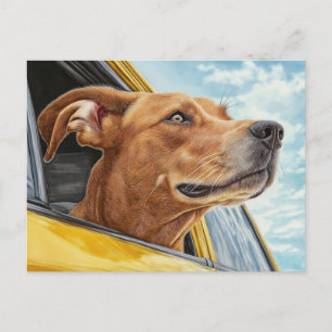 Carte Postale Impression d'art de chien heureux dans une voiture