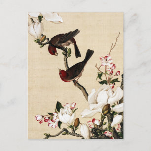 Carte Postale Impression d'art vintage de magnolia blanc et oise