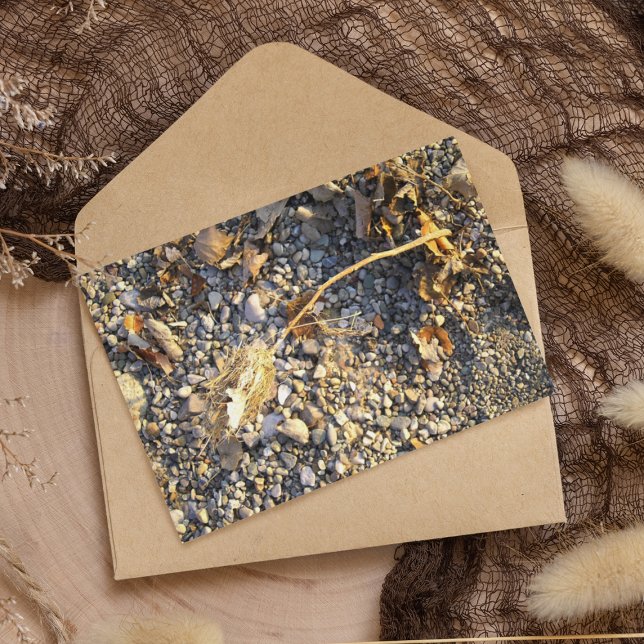 Carte Postale Impression d'automne (Créateur téléchargé)