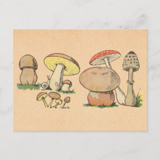 Carte Postale Impression de champignons vintages