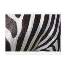 Impression de la peau Zebra