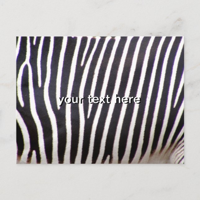 Carte Postale Impression Zebra (Devant)