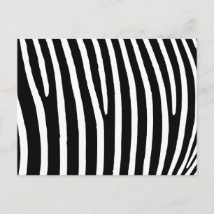Carte Postale Impression Zebra