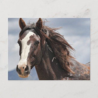 Carte Postale Impressionnant