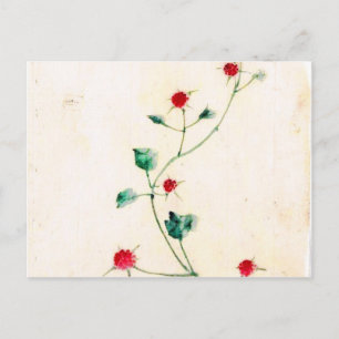 Carte Postale Imprimantes d'Asie vintage