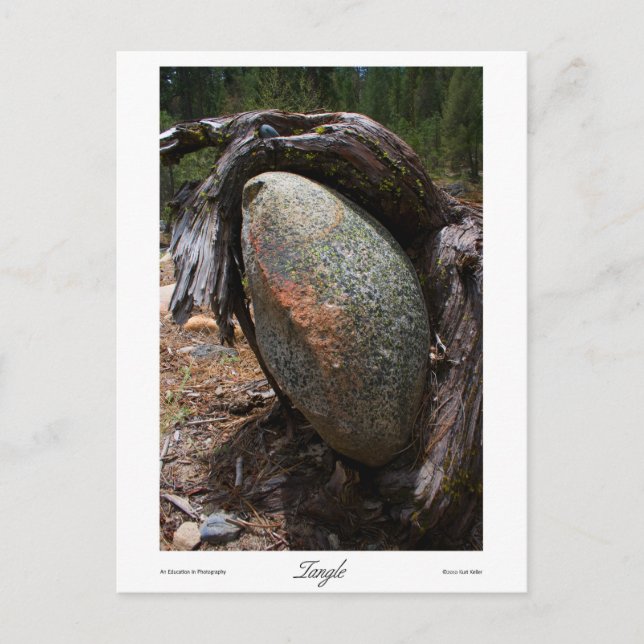Carte Postale Imprimantes en angle (Devant)