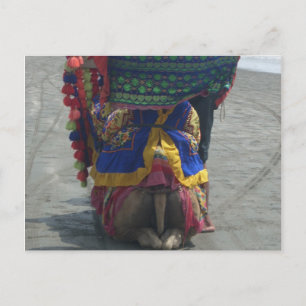 Carte Postale Imprimé/graphique en forme de chameau