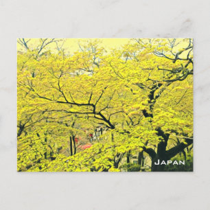 Carte Postale imprimé japonais jaune gingko