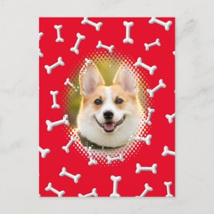 Carte Postale Imprimer Motif d'os