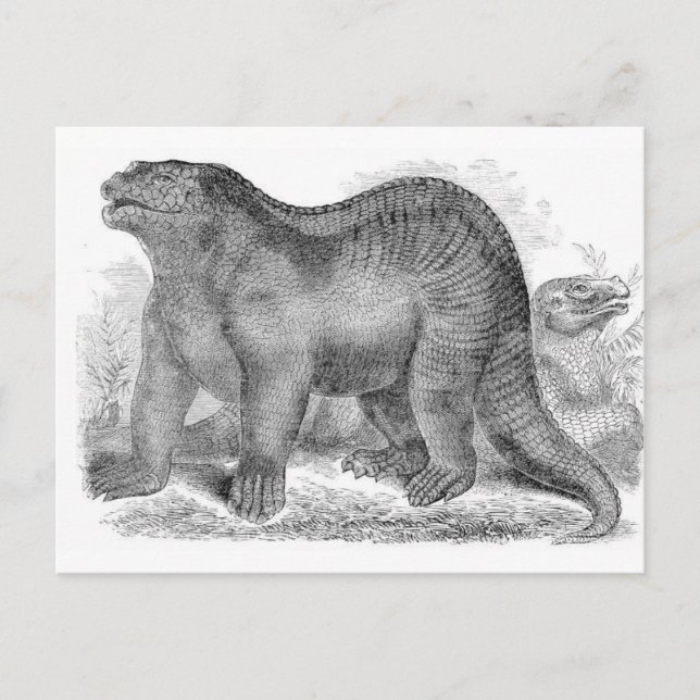 Carte Postale Imprimerie d'antiquité Iguanodon (Devant)