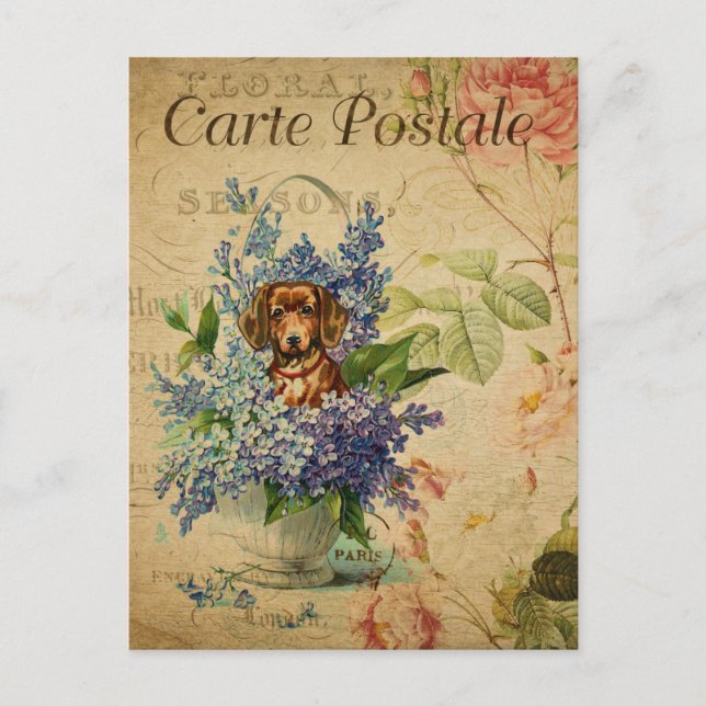 Carte Postale Imprimerie vintage d'art français, Flore de chien (Devant)