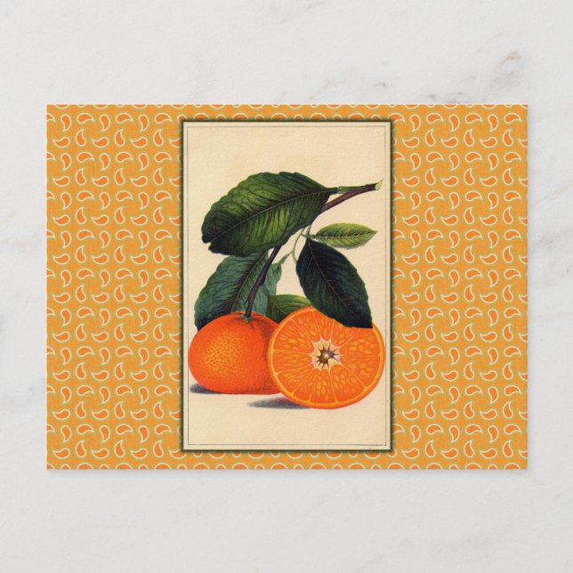 Carte Postale Imprimerie vintage orange (Devant)