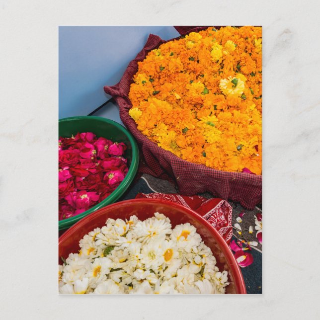 Carte Postale Inde, Rajasthan, Pipar (Devant)