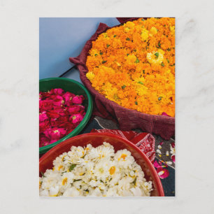 Carte Postale Inde, Rajasthan, Pipar