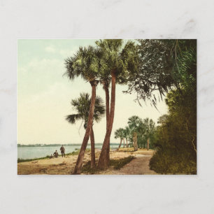 Carte Postale Indian River Florida 1898 photo vintage