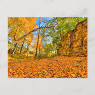 Carte Postale Indian Village Canyon en Automne, Columbus, Ohio