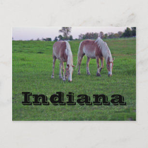 Carte Postale Indiana