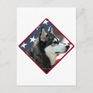 Carte Postale Indicateur de malamute 2 de l'Alaska