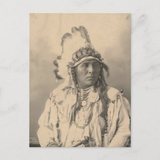 Carte Postale Indien vintage : Jack lapin tacheté, Corbeau -